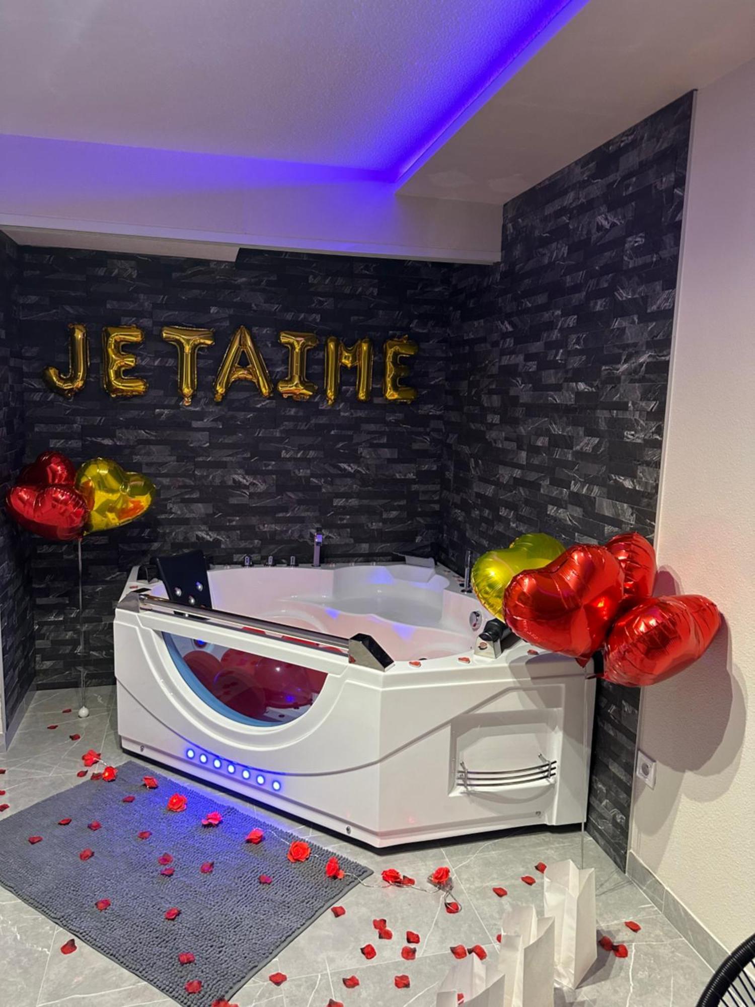 Appartement T3 5 Etoile Jacuzzi à Toulouse Extérieur photo